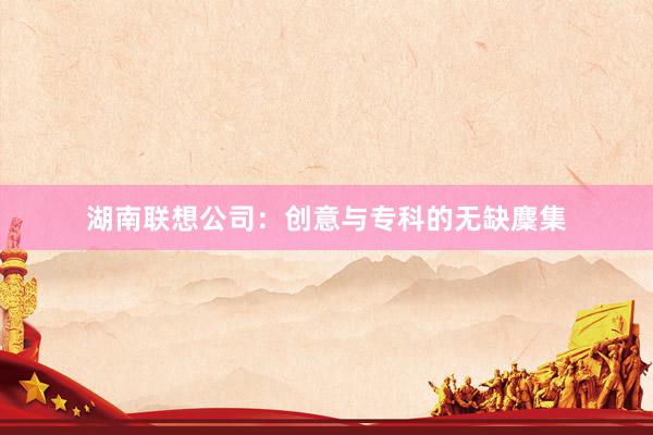 湖南联想公司：创意与专科的无缺麇集