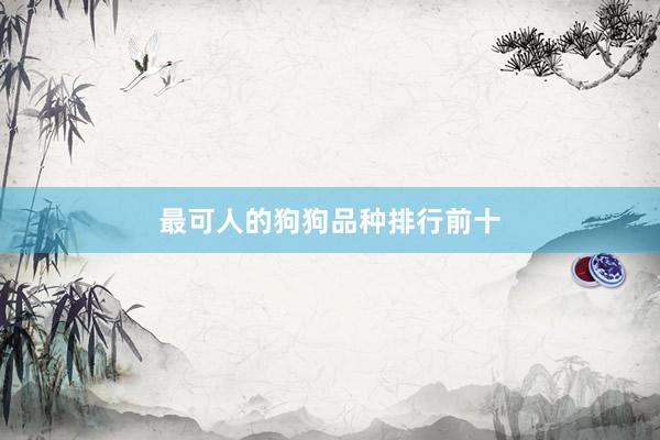 最可人的狗狗品种排行前十